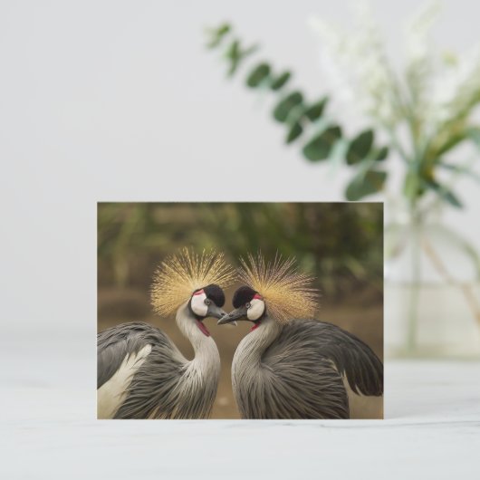 Carte Postale Gris Gris Crowne (Debout devant)