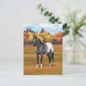 Carte Postale Gris Grulla Appaloosa Grullo Quarter Horse Stallio (Debout devant)