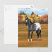 Carte Postale Gris Grulla Appaloosa Grullo Quarter Horse Stallio (Devant / Derrière)
