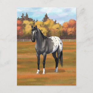 Carte Postale Gris Grulla Appaloosa Grullo Quarter Horse Stallio