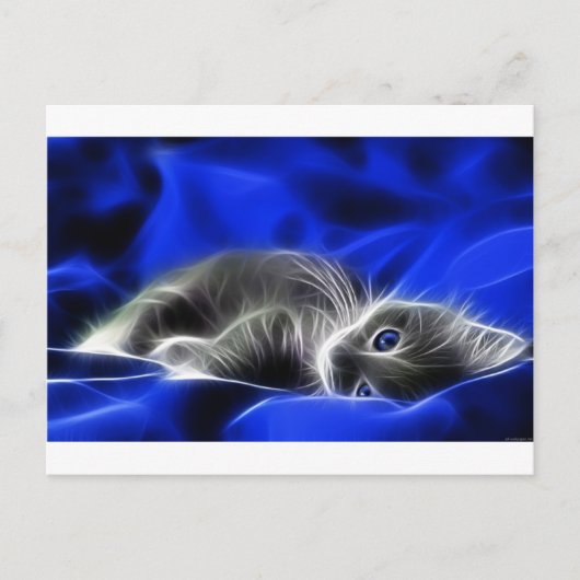 Carte Postale Gris Kitten Awakes (Devant)