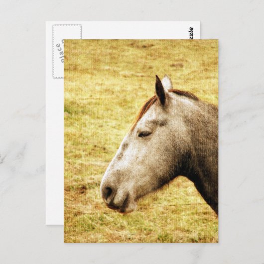 Carte Postale Gris Mare (Devant / Derrière)