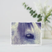 Carte Postale Gris vintage (Debout devant)