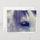 Carte Postale Gris vintage (Devant / Derrière)