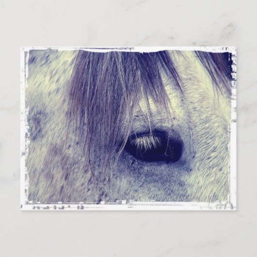 Carte Postale Gris vintage (Devant)