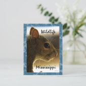 Carte postale grise d'écureuil du Mississippi de (Debout devant)