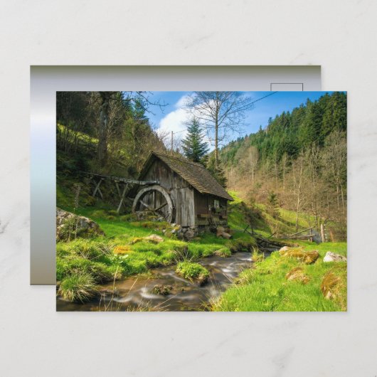 Carte Postale Grist Mill dans la Forêt-Noire (Devant / Derrière)