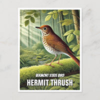 Grive d'ermite d'oiseaux du Vermont