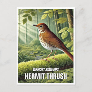 Carte Postale Grive d'ermite d'oiseaux du Vermont