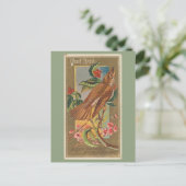 Carte Postale Grive des bois (Debout devant)