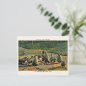 Carte Postale grizzlis, cadeaux de parc national en pierre jaune (Debout devant)