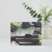 Carte Postale Grizzly Bear (Debout devant)