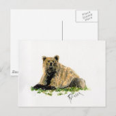 Carte postale Grizzly Bear (Devant / Derrière)