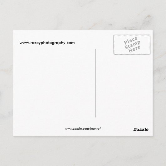 Carte Postale Grizzly Bear (Dos)