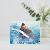 Carte postale Grizzly Bear (Debout devant)