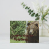 Carte postale Grizzly Bear (Debout devant)