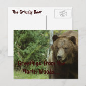 Carte postale Grizzly Bear (Devant / Derrière)