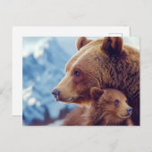 Carte Postale Grizzly Bear 399, GB 399 (Devant / Derrière)