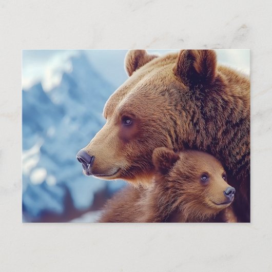 Carte Postale Grizzly Bear 399, GB 399 (Devant)