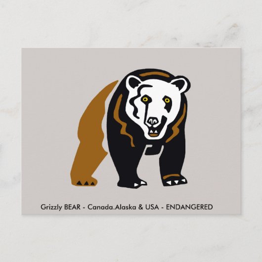 Carte Postale Grizzly BEAR - Faune - Conservation - (Devant)