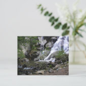 Carte Postale Grizzly Falls, King's Canyon National Park, (Debout devant)