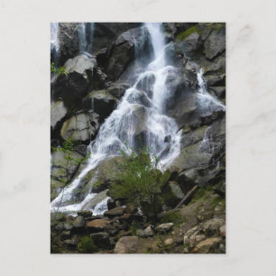 Carte Postale Grizzly Falls, King's Canyon National Park, CA