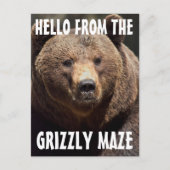 CARTE POSTALE GRIZZLY MAZE GRIZZLY PORTECARTES (Devant)
