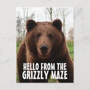 CARTE POSTALE GRIZZLY MAZE GRIZZLY PORTECARTES