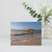 Carte Postale Groins sur la côte de la mer Baltique (Debout devant)