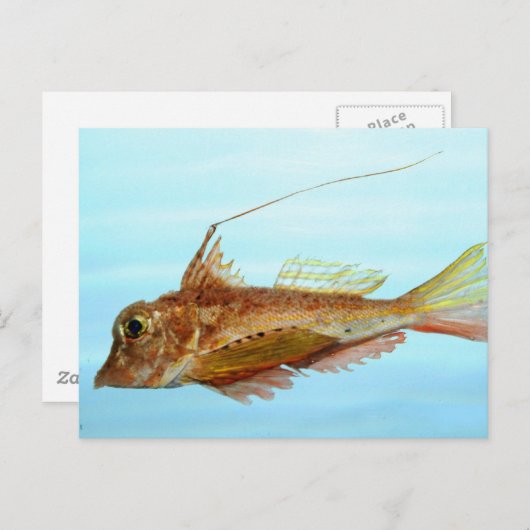 Carte Postale Grondin-perlon (Devant / Derrière)