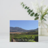 Carte Postale Groot Constantia - Le Cap - Afrique du Sud (Debout devant)