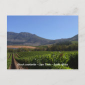 Carte Postale Groot Constantia - Le Cap - Afrique du Sud (Devant)