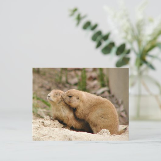 Carte Postale Gros baiser (Debout devant)