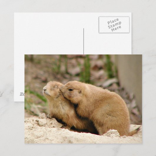 Carte Postale Gros baiser (Devant / Derrière)