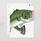 Carte Postale Gros Basse Bouche (Devant / Derrière)