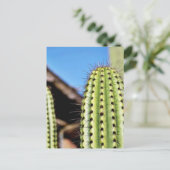 Carte Postale Gros cactus vert (Debout devant)