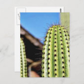 Carte Postale Gros cactus vert (Devant / Derrière)