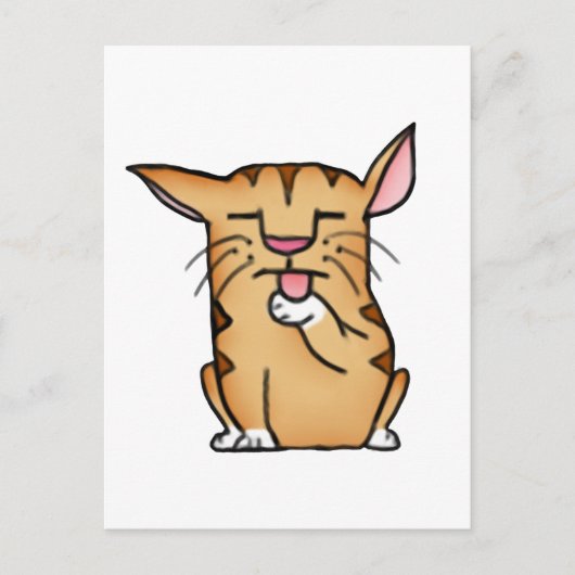 Carte Postale Gros chat (Devant)