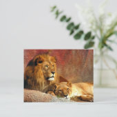 Carte Postale Gros Chats - 6 (Debout devant)