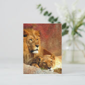 Carte Postale Gros Chats - 6 (Debout devant)