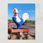 Carte Postale Gros coq (Devant)