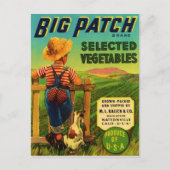 Carte Postale Gros correctif (Devant)