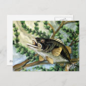 Carte Postale Gros cul (Devant / Derrière)