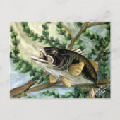 Carte Postale Gros cul (Devant)