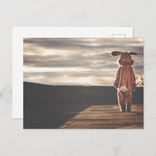 Carte Postale Gros lapin (Devant / Derrière)