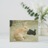 Carte Postale Gros Lapin Rouge (Debout devant)
