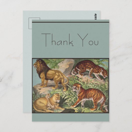 Carte Postale Gros Lions Chat Tigres, léopards, Animaux Imprimer (Devant / Derrière)