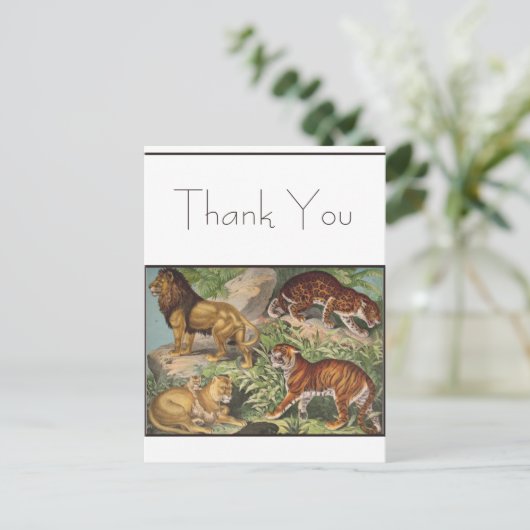 Carte Postale Gros Lions Chat Tigres, léopards, Animaux Imprimer (Debout devant)