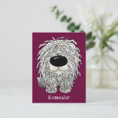 Carte Postale Gros nez Komondor (Debout devant)