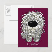 Carte Postale Gros nez Komondor (Devant / Derrière)